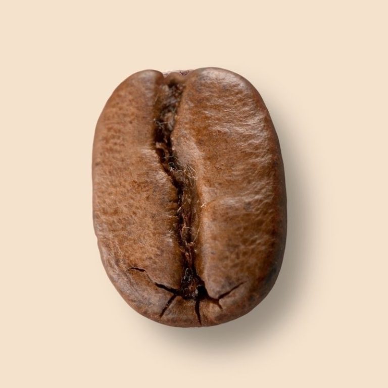 n 5